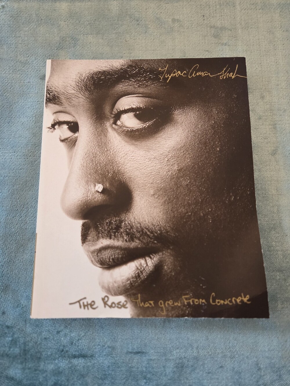 The Rose That Grew from Concrete by Tupac Shakur